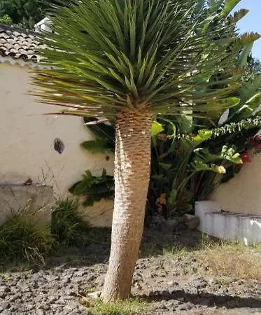 Kanarische Finca - Casita De La Vega *