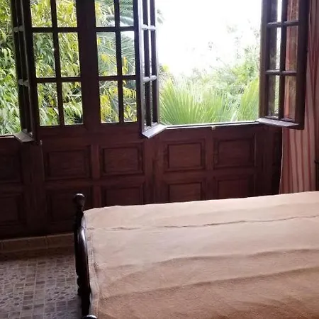 Kanarische Finca - Casita De La Vega *