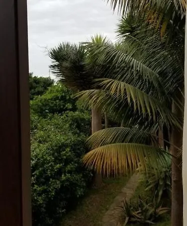 Kanarische Finca - Casita De La Vega * Icod De Los Vinos